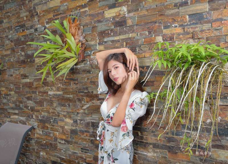 岁月封芳颜