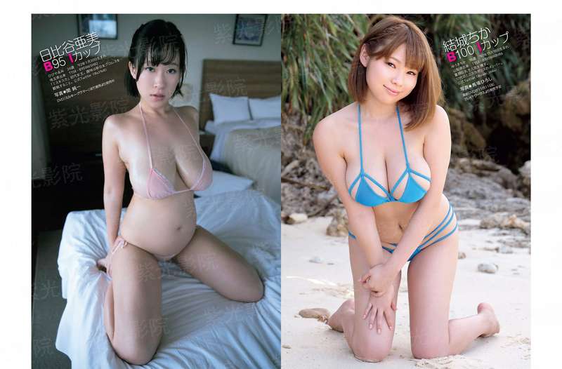 阵法之五行全能
