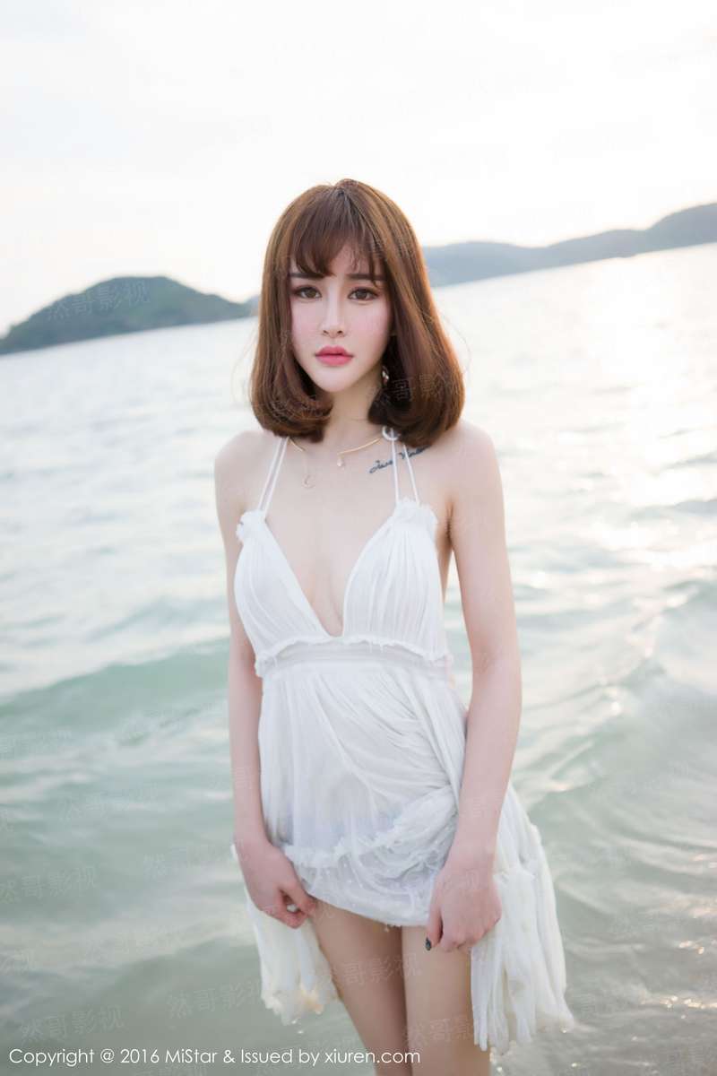 天之炽之大夏君临