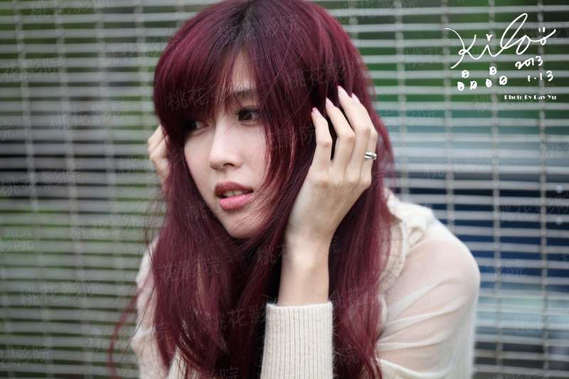 替代者2