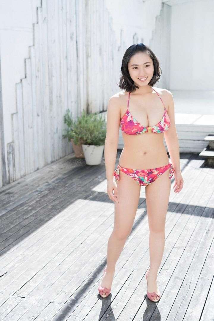 大道金丹书