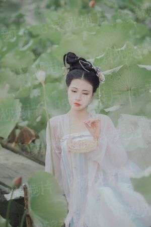 重生之娱乐教主