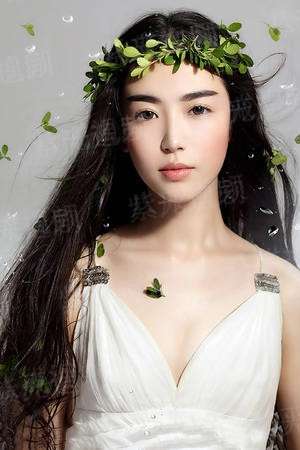 许愿猫的故事