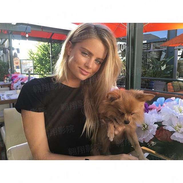 守护天使的堕落恶魔团