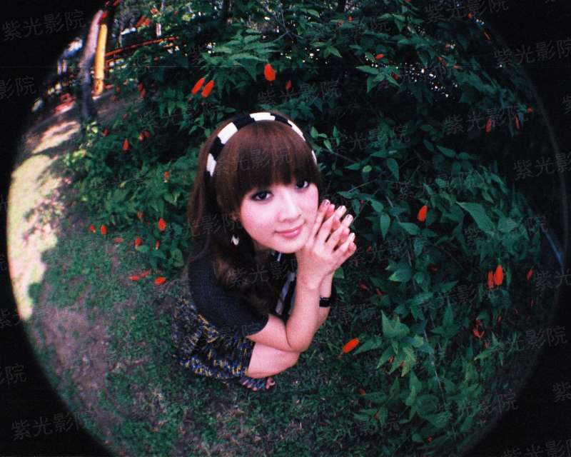 锦夏同尘