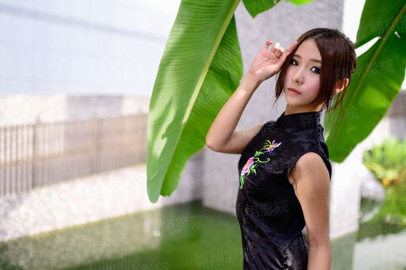 妖孽越帅越欠抽