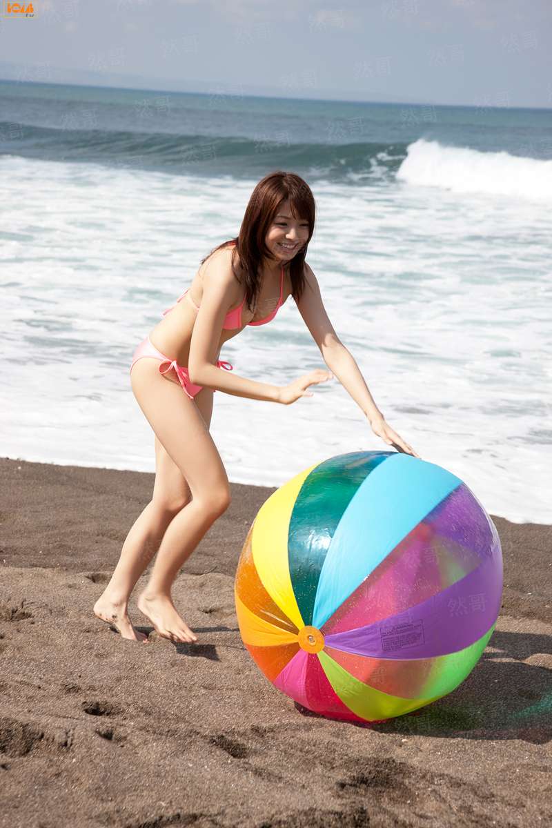 宠物小精灵之新奇冒险