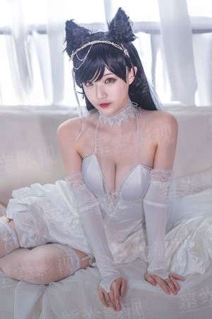攻略作者指南[末世重生]