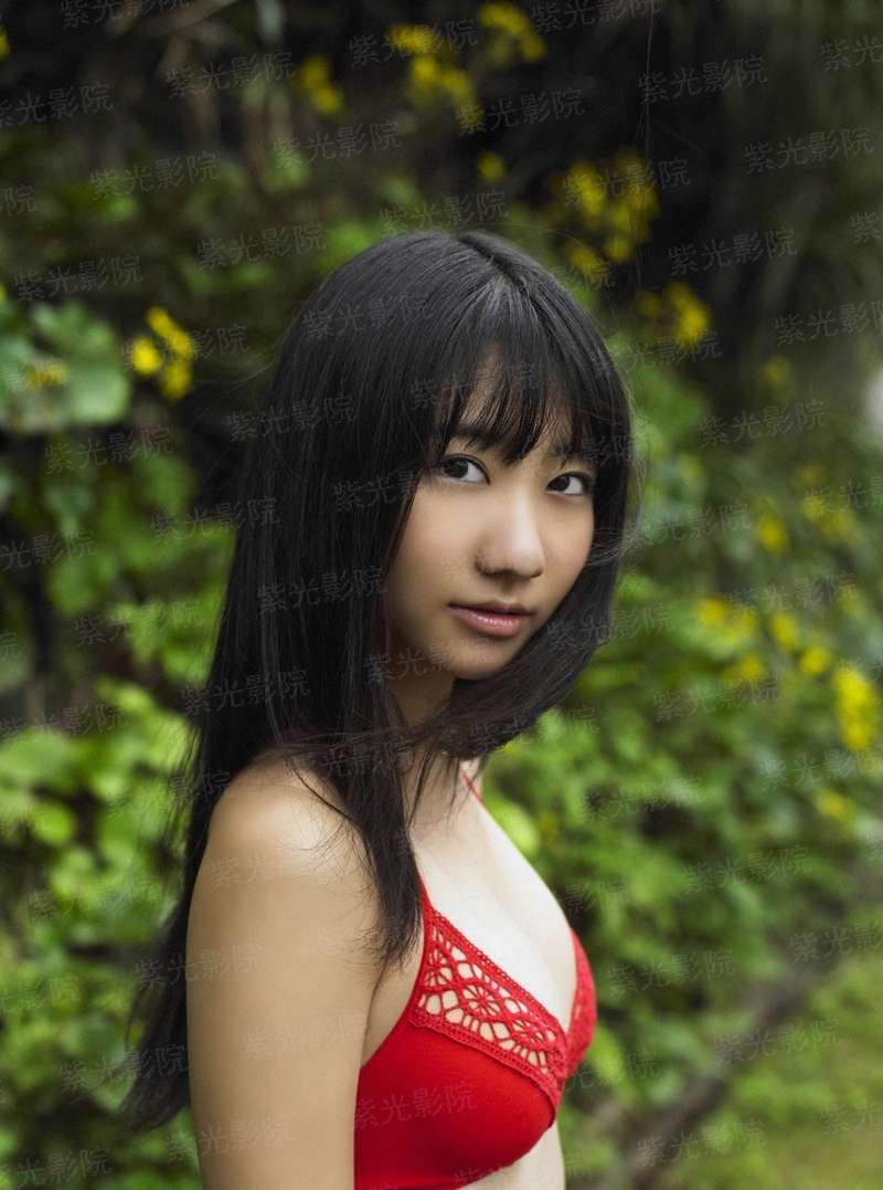 凤涅神话：萌主无敌