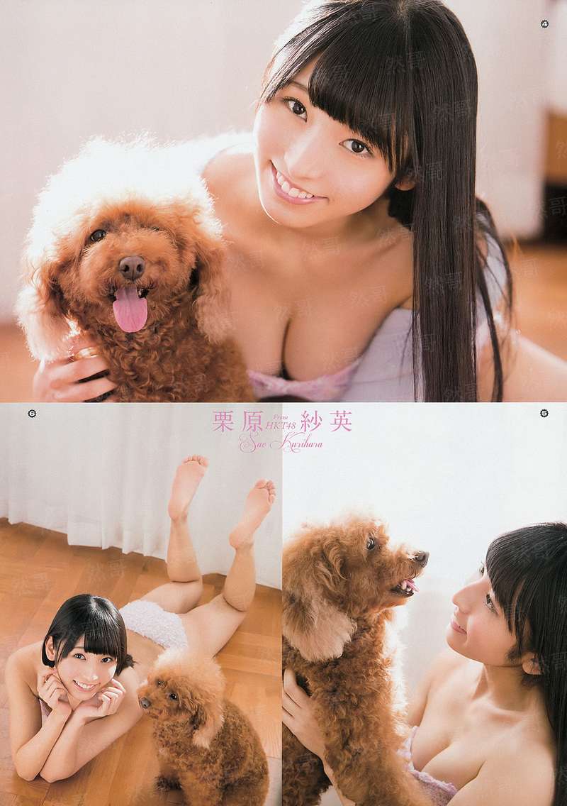 八犬传 -东方八犬异闻- 第一季
