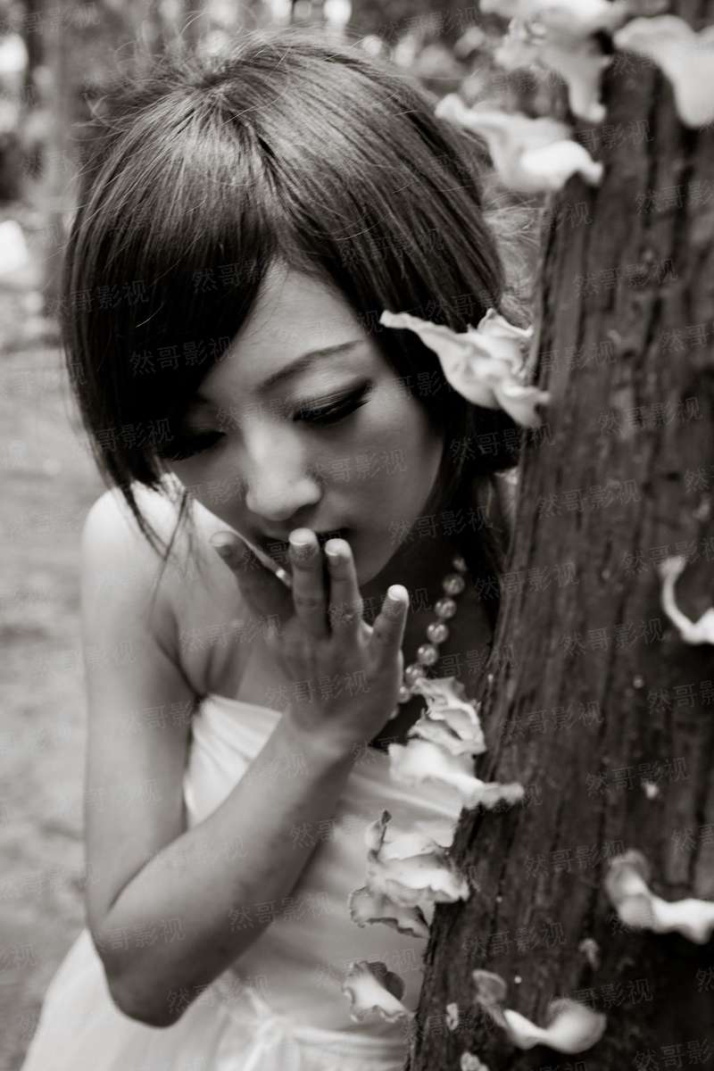婚姻守恒定律