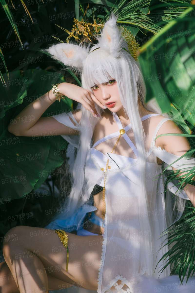 月光骑士在线播放