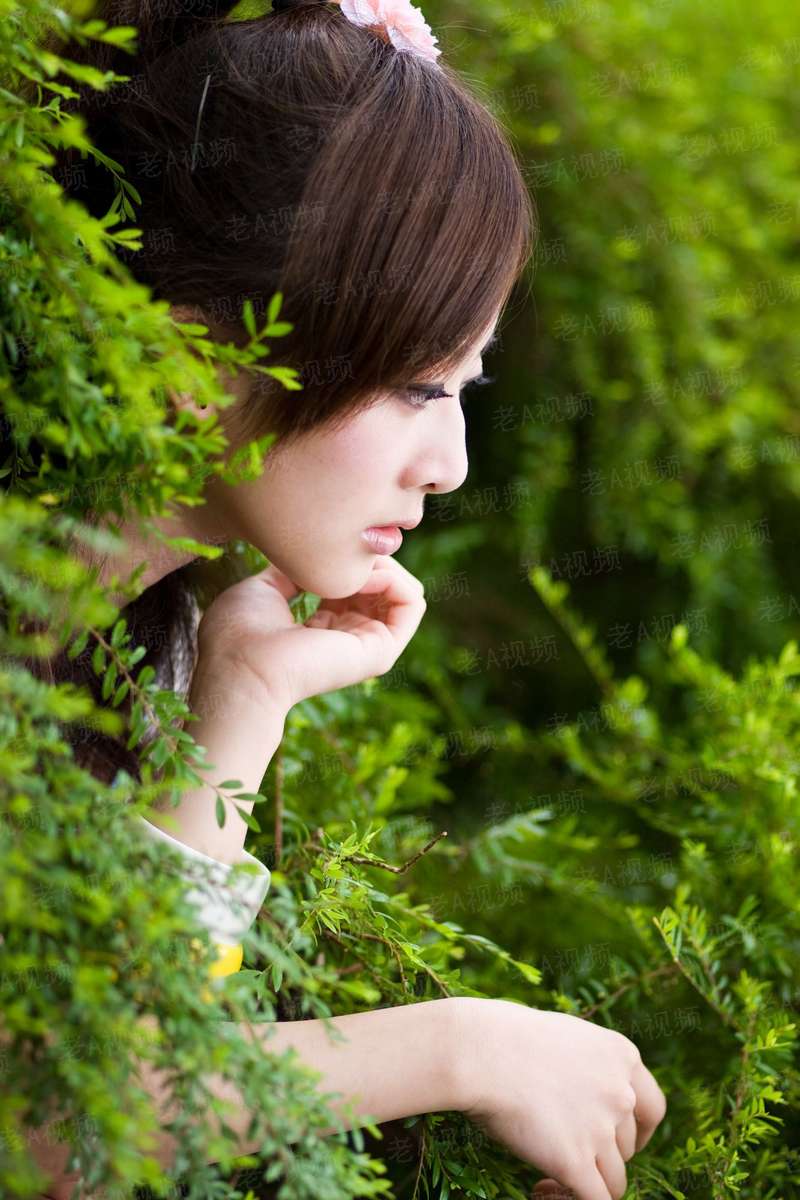 兽人之我乃女王大人