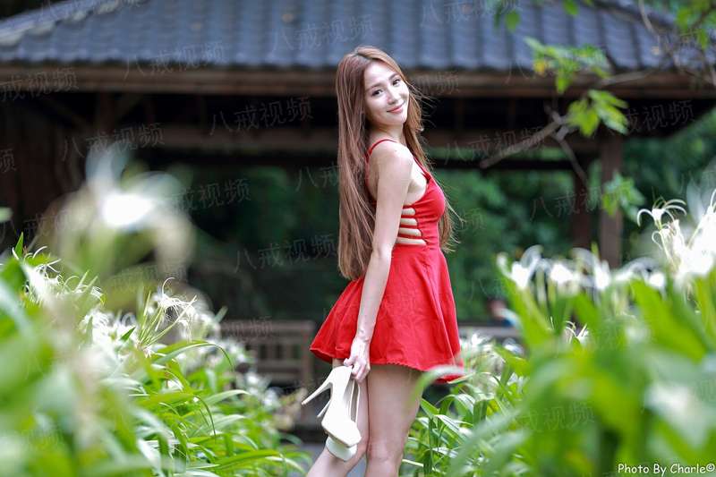 江山我来坐