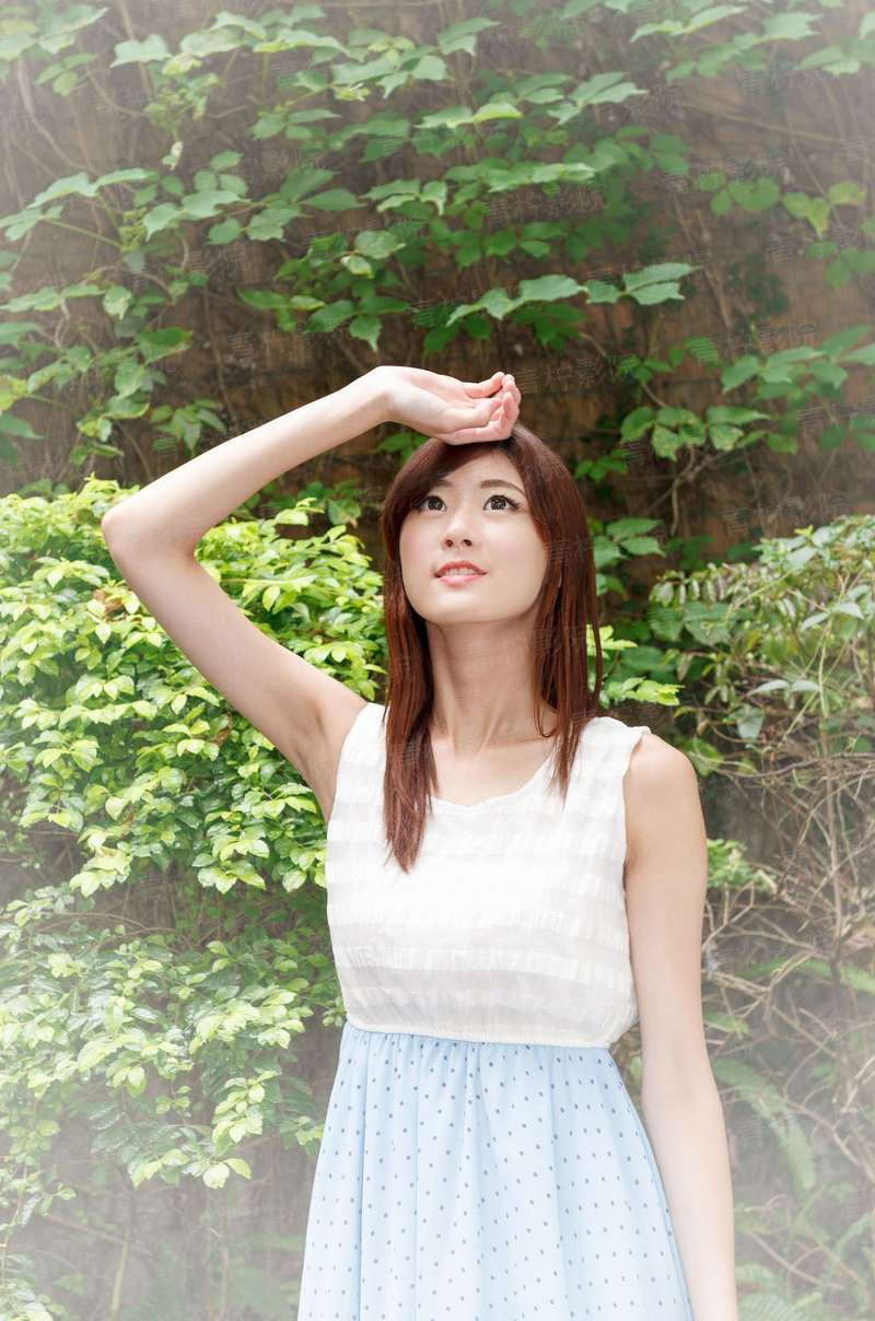 修仙老司机