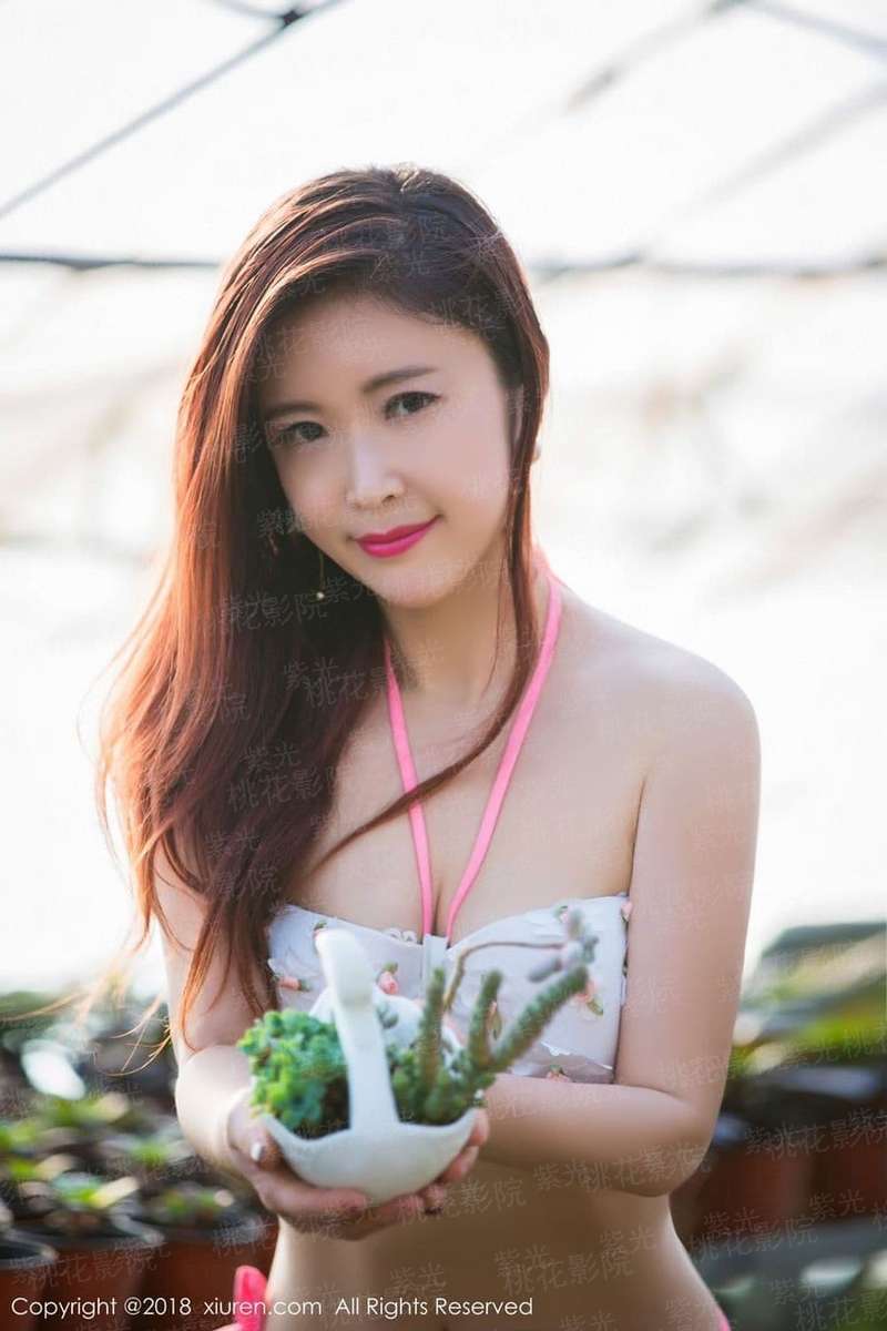 带血的寒枪
