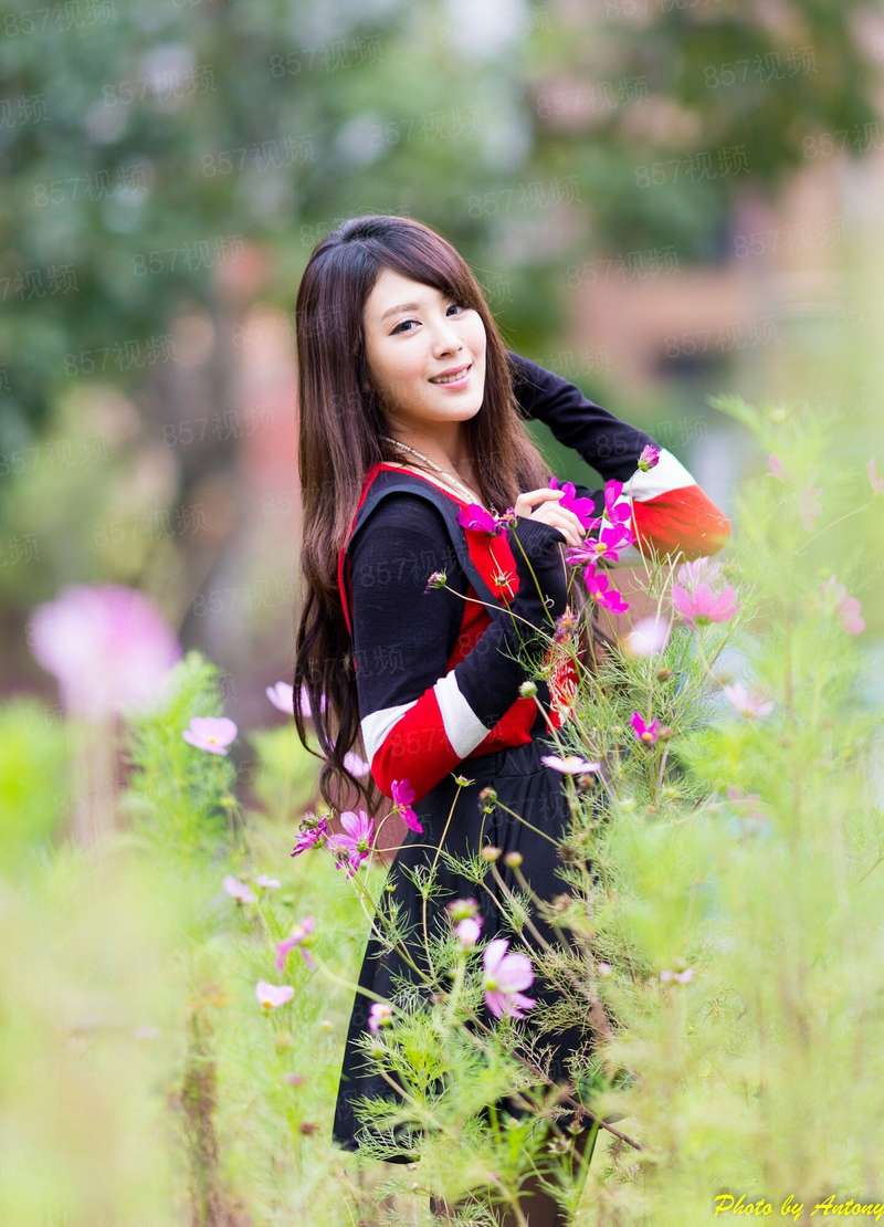 驭影师