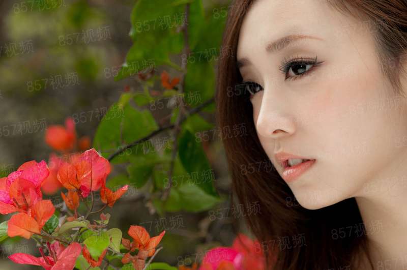 限时婚宠：隐婚娇妻甜蜜蜜