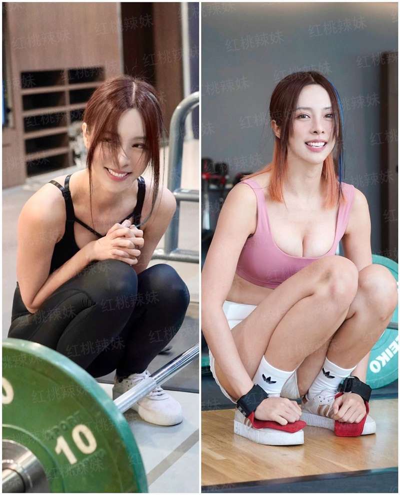 顶级掠食者