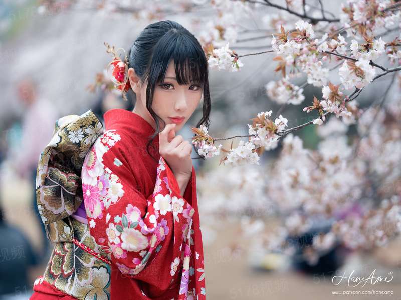 豪门前妻的春天