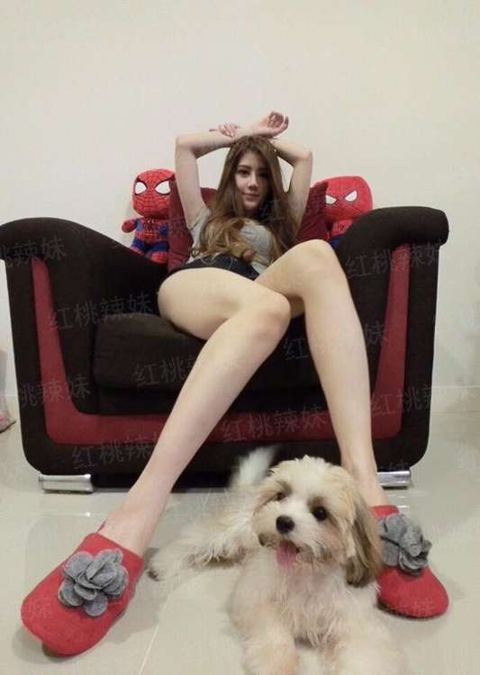 盗墓奇门