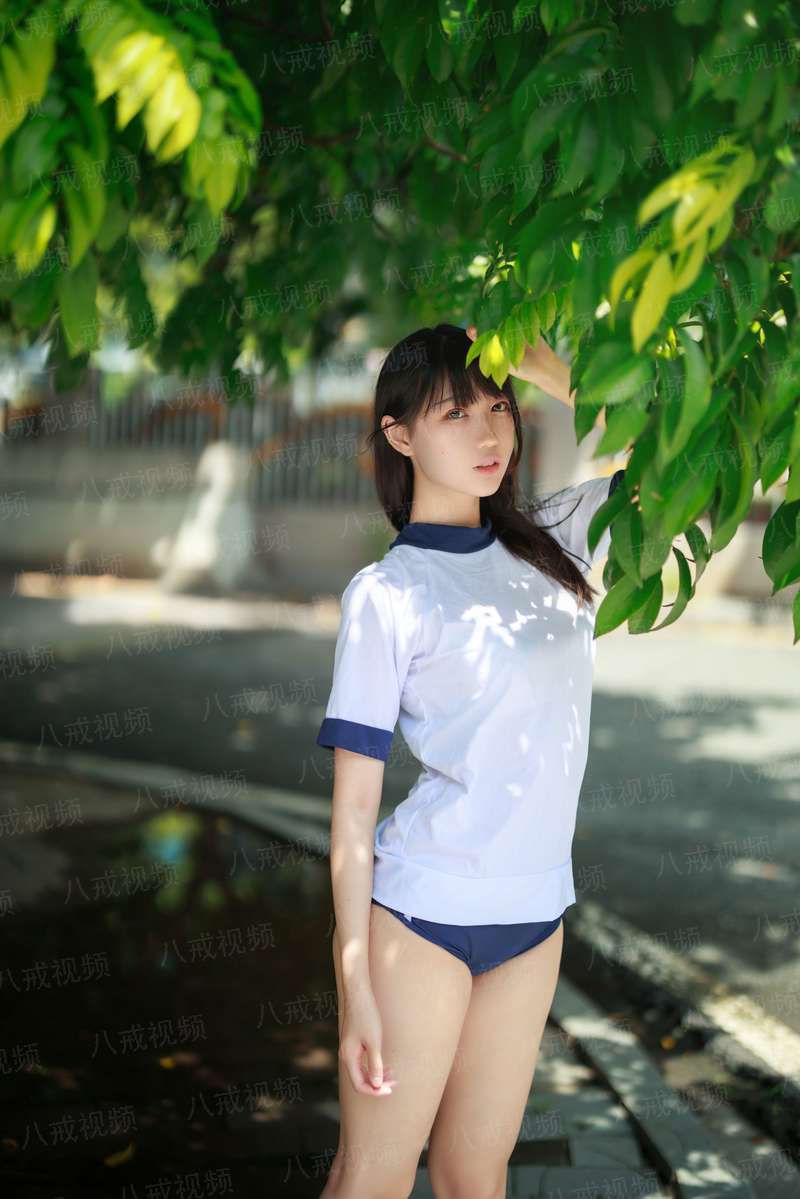 金牌卦师