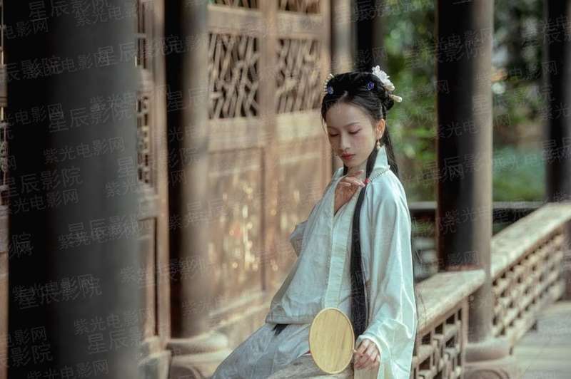 逝去的记忆无言的守护
