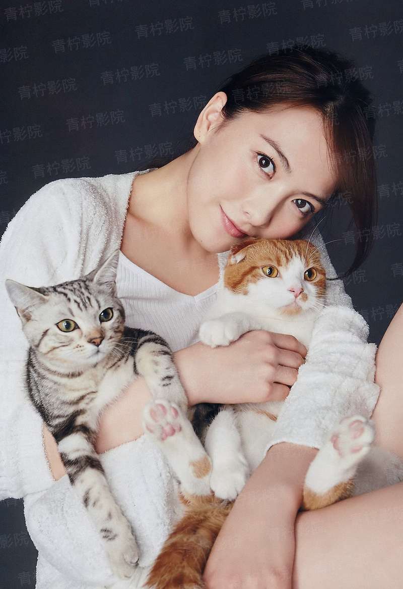 机甲龙帝