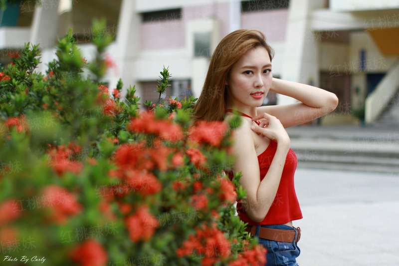 凰血：媚妃当道
