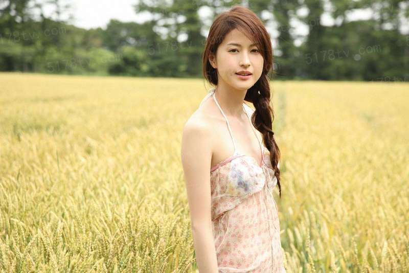 陆阳桃夭叶是什么小说