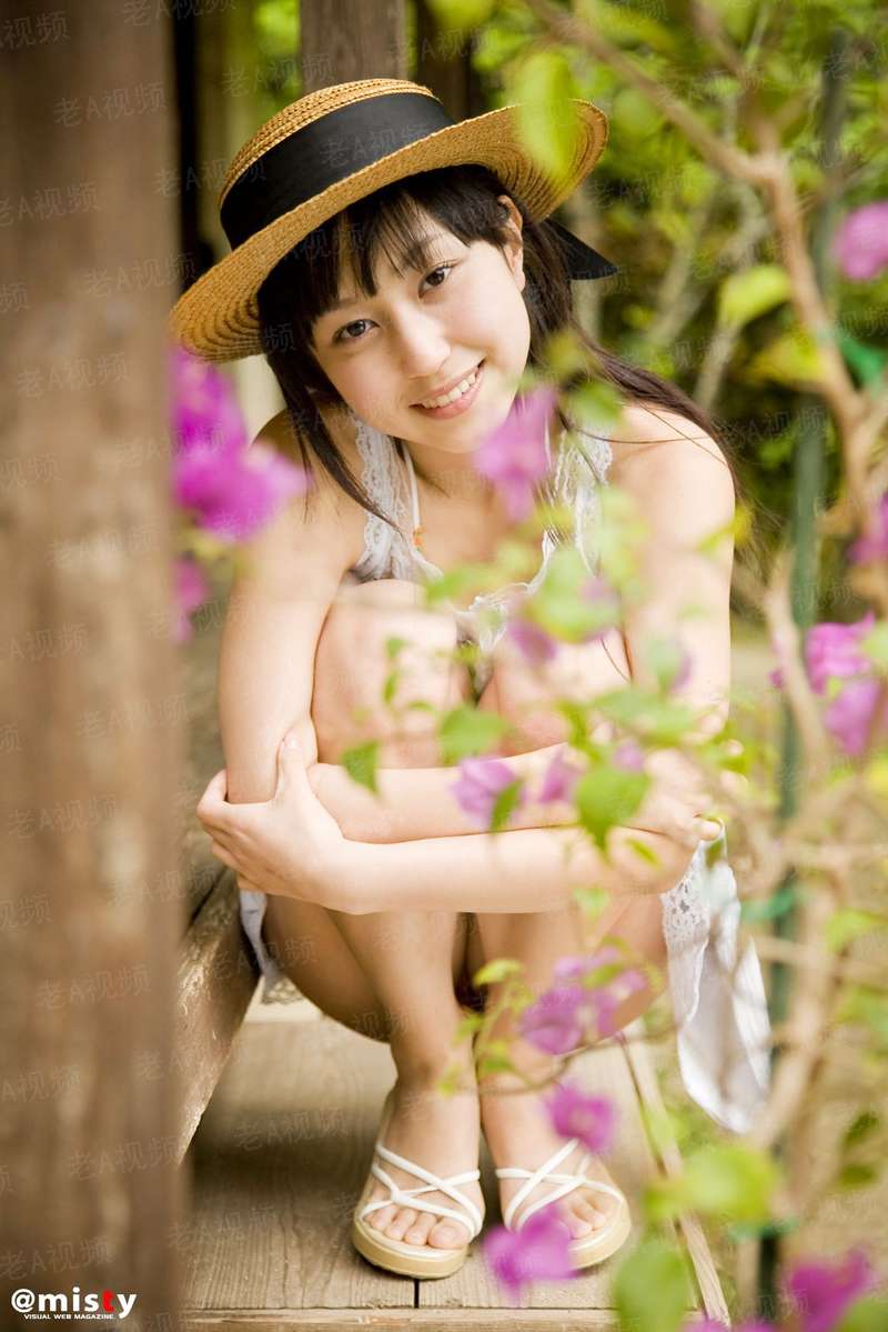 鸟类变形记