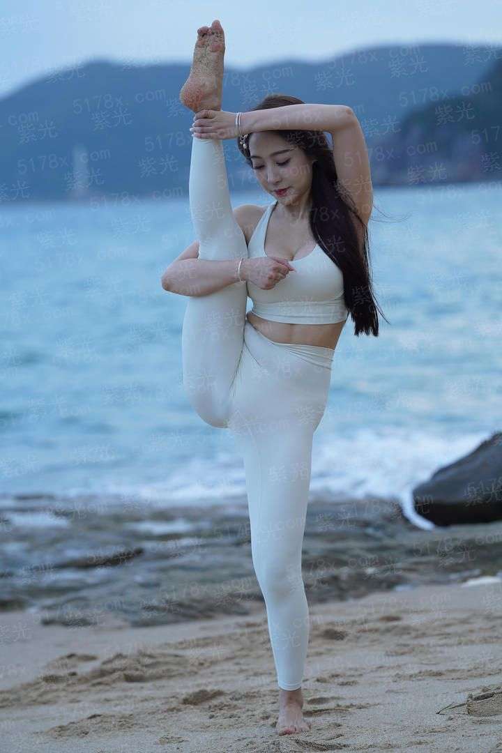 醉后的玫瑰