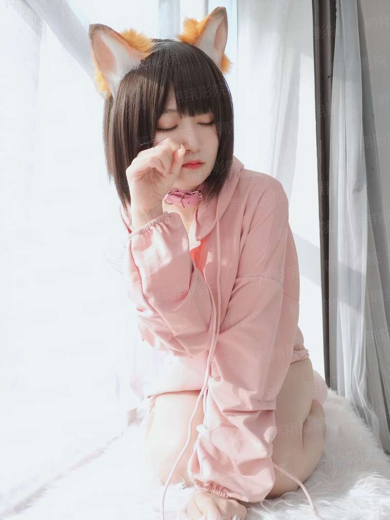 窝里的混乱生活