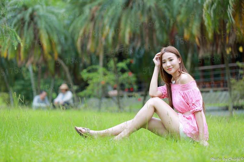 网游之职场美女养成