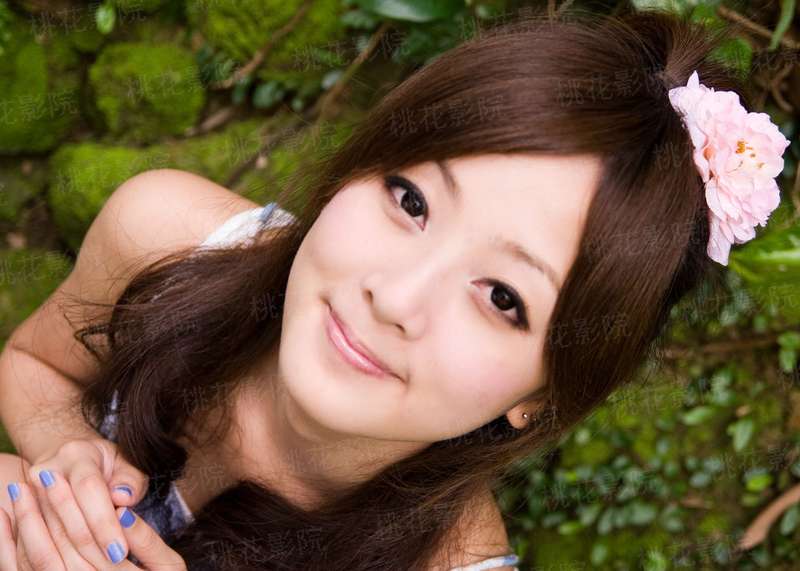 蝶狂蜂狂