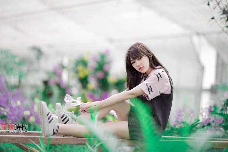 打造华夏洪荒