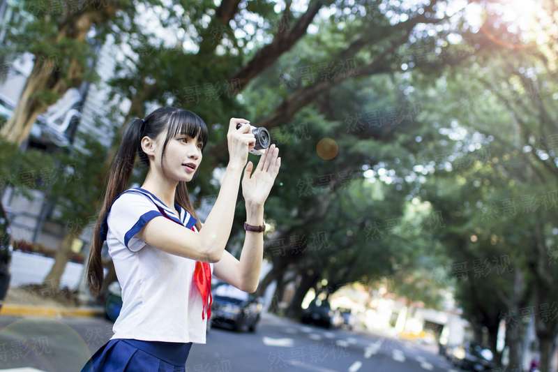 另衍芙蓉