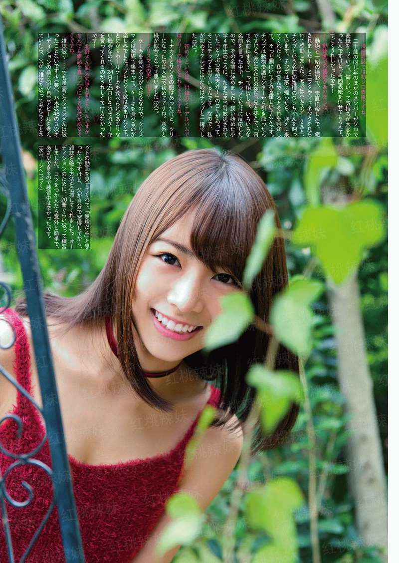 县委组织部长