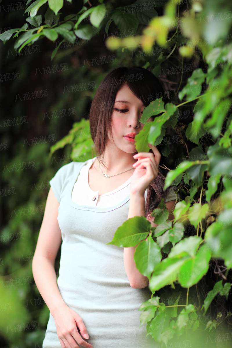 网游之紫狼传奇