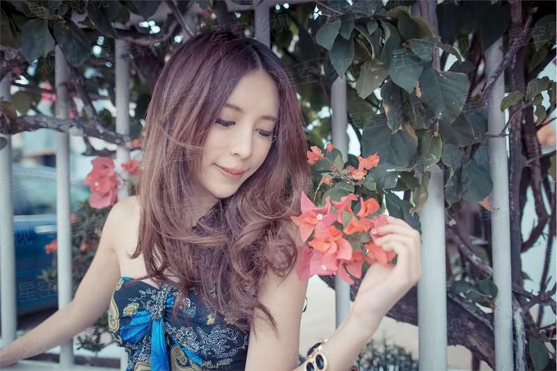 我的马儿恐怖如斯
