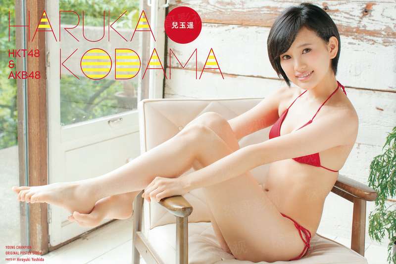 蜜爱成婚