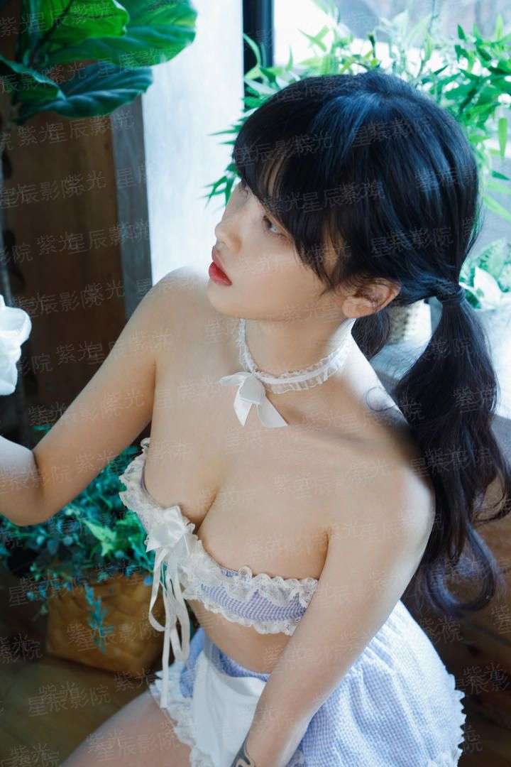 诸子捭阖