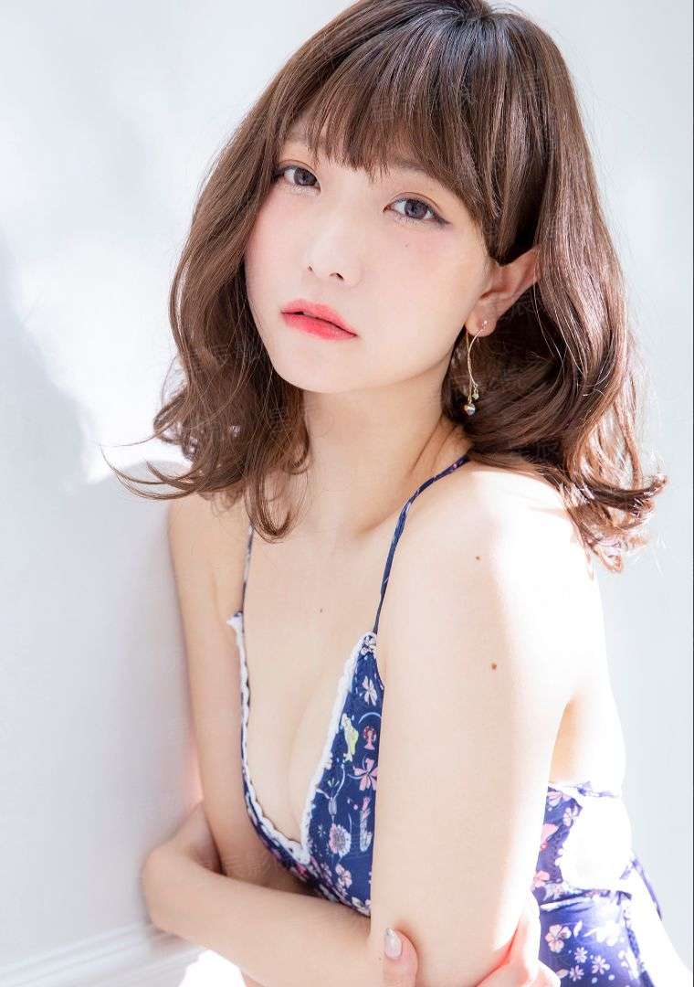 动物大师