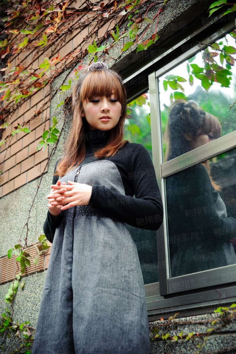 梦里乔木