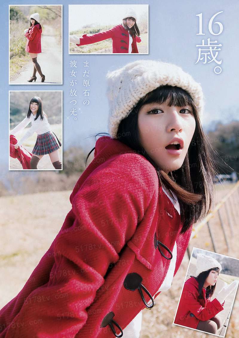 幸福蒲公英