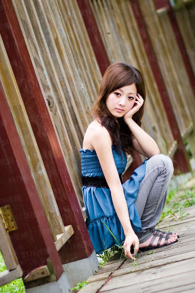 有关一只狐狸