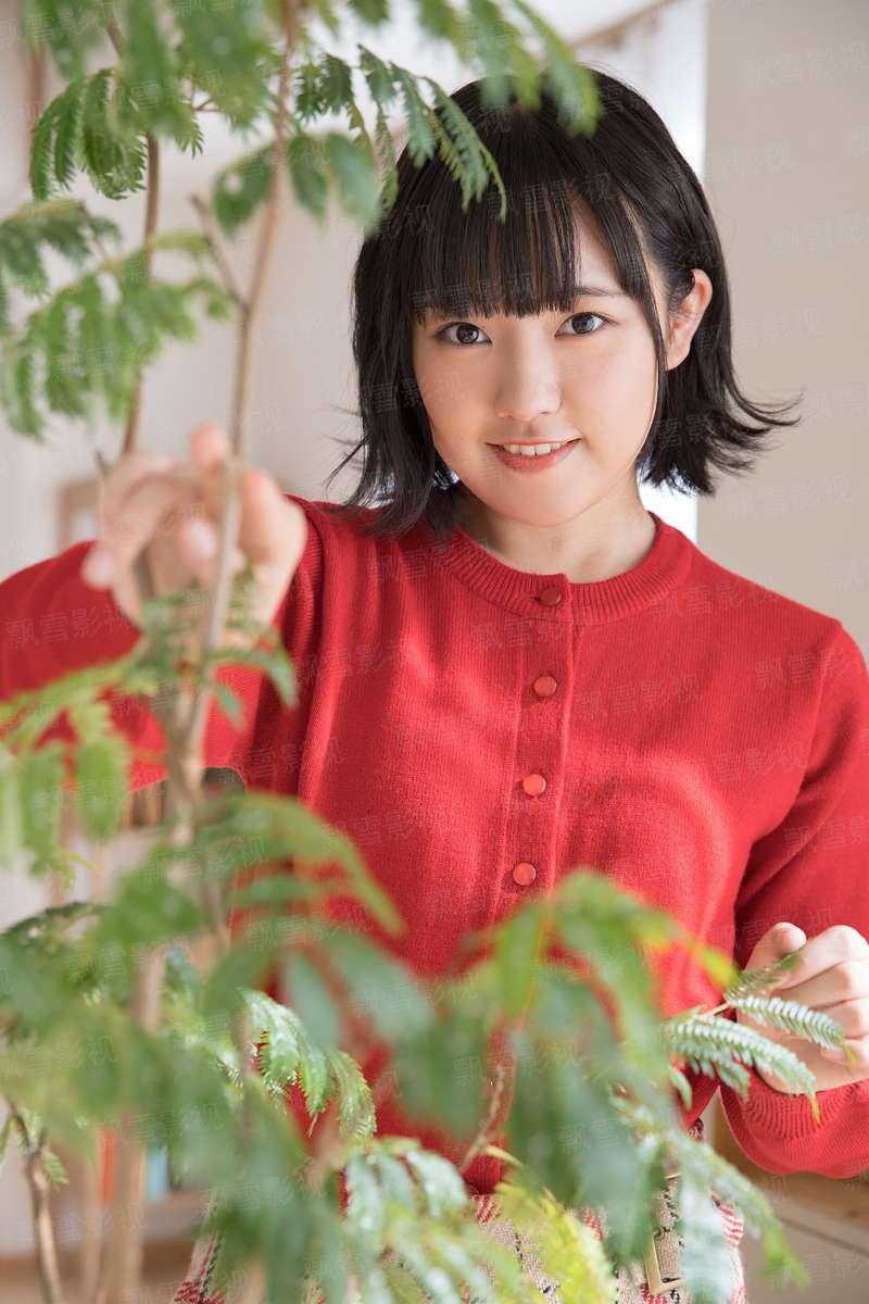 奇异城市之女王传说