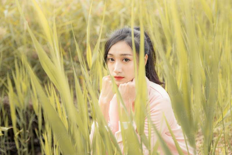 建议三孩买房半价