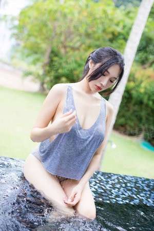 大宋首辅