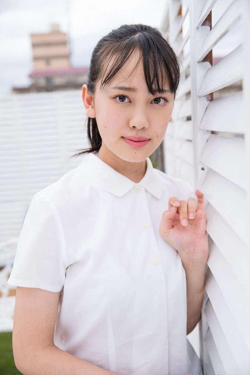 死神的哈士奇